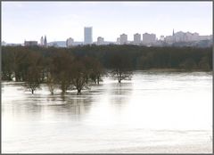 Hochwasser bei Frankfurt (Oder)