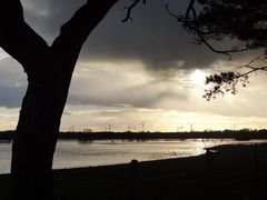 Hochwasser bei Jeversen