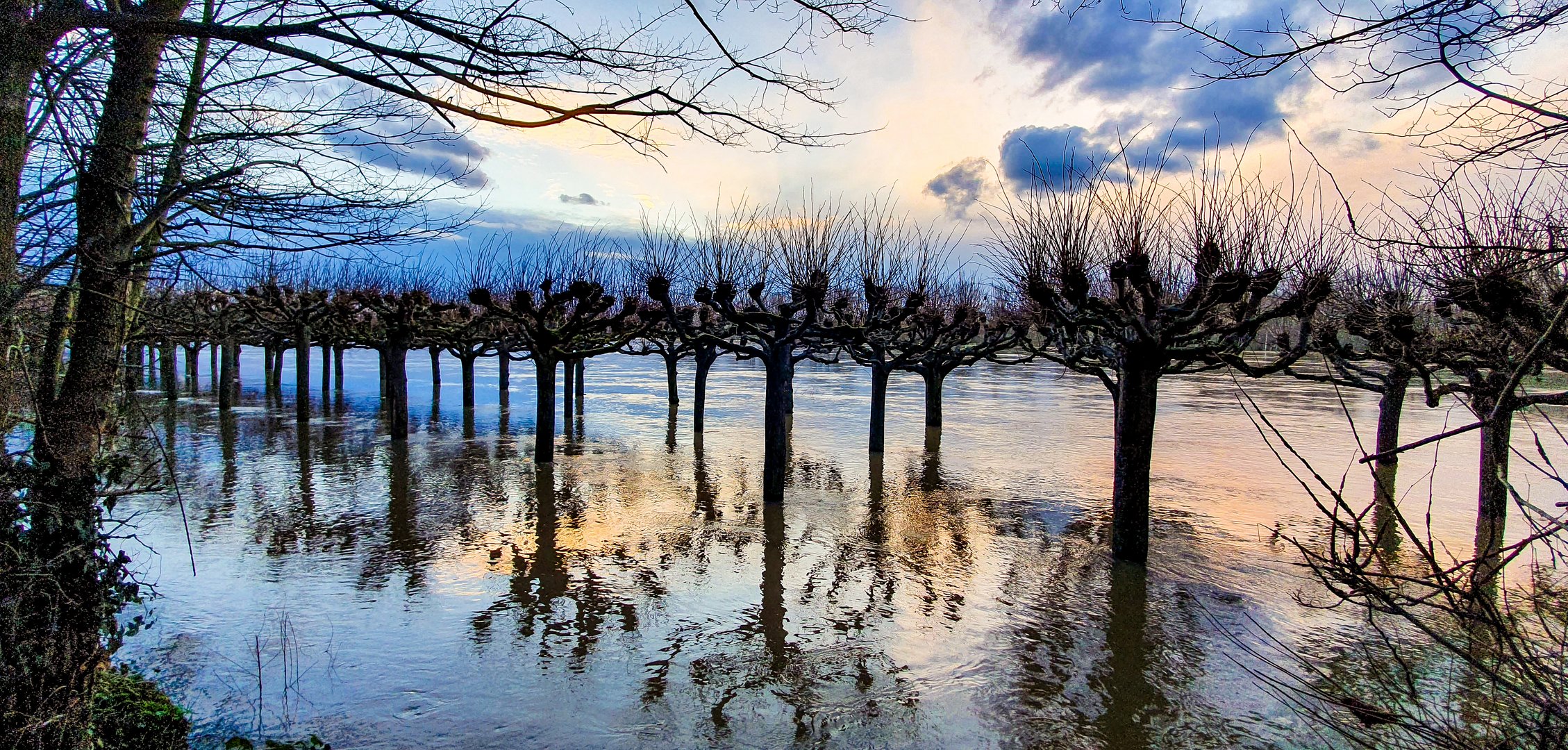 Hochwasser bei Köln Porz