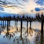 Hochwasser bei Köln Porz