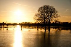 Hochwasser bei Rhede 2