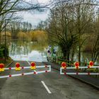 Hochwasser bei Troisdorf-Bergheim