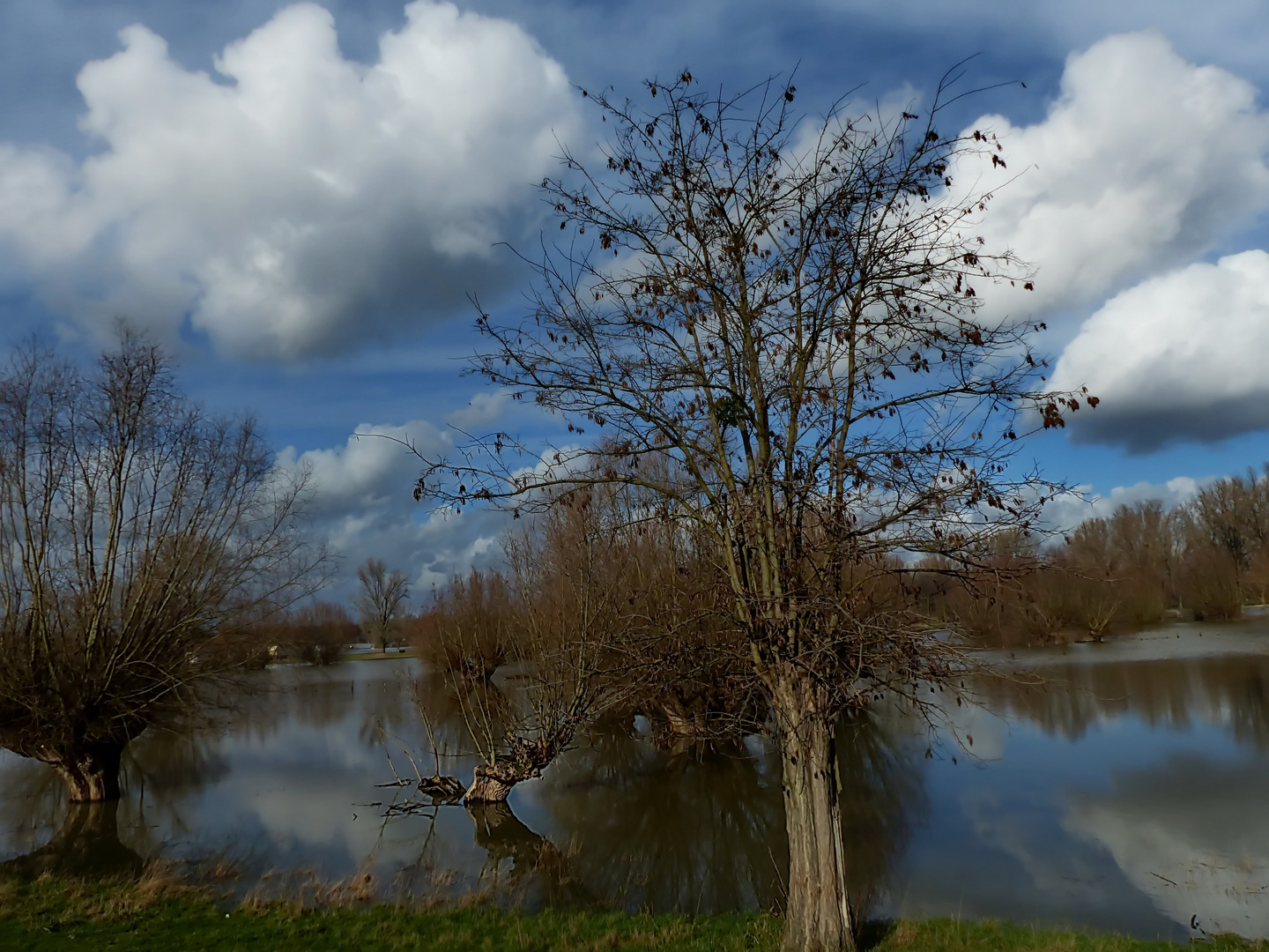 Hochwasser bei uns am Rhein