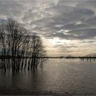 Hochwasser bei Wesel