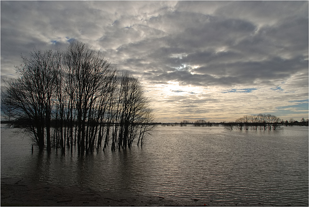 Hochwasser bei Wesel