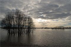 Hochwasser bei Wesel