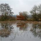 Hochwasser