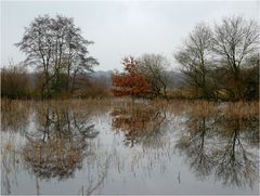 Hochwasser