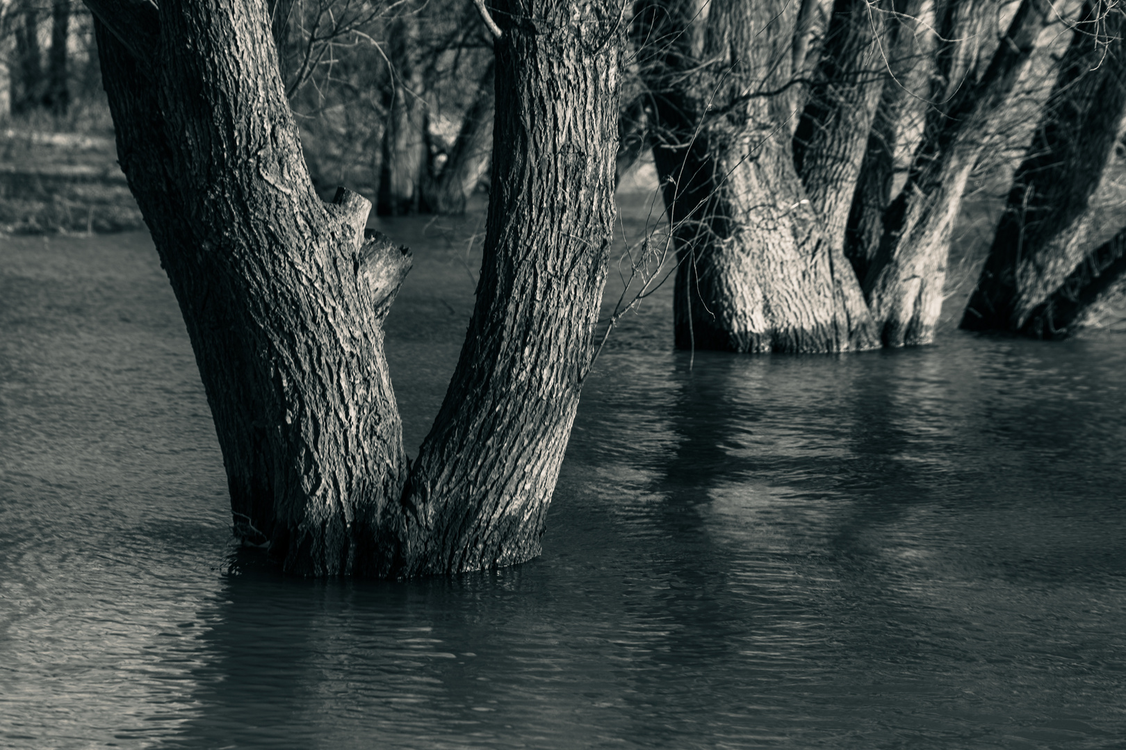 Hochwasser