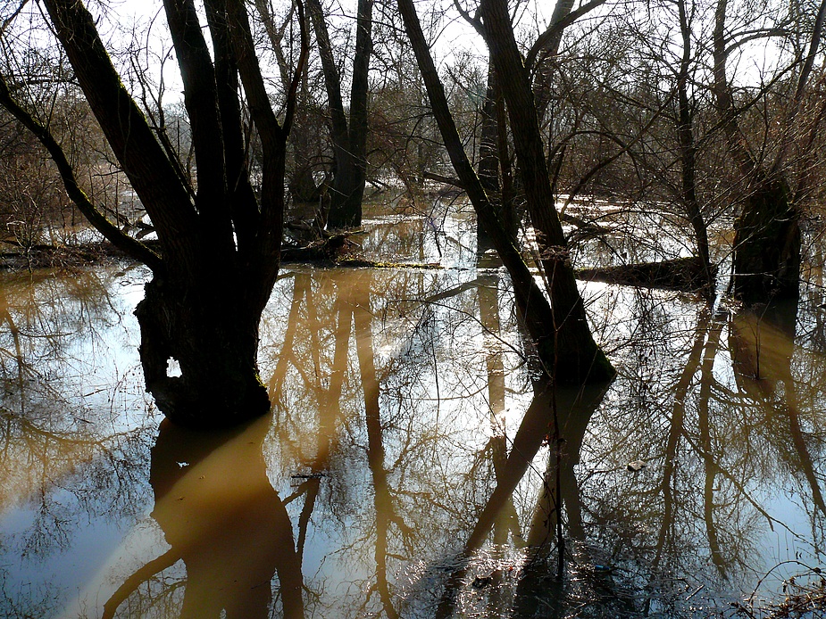 Hochwasser