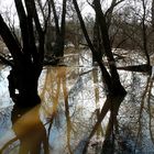 Hochwasser