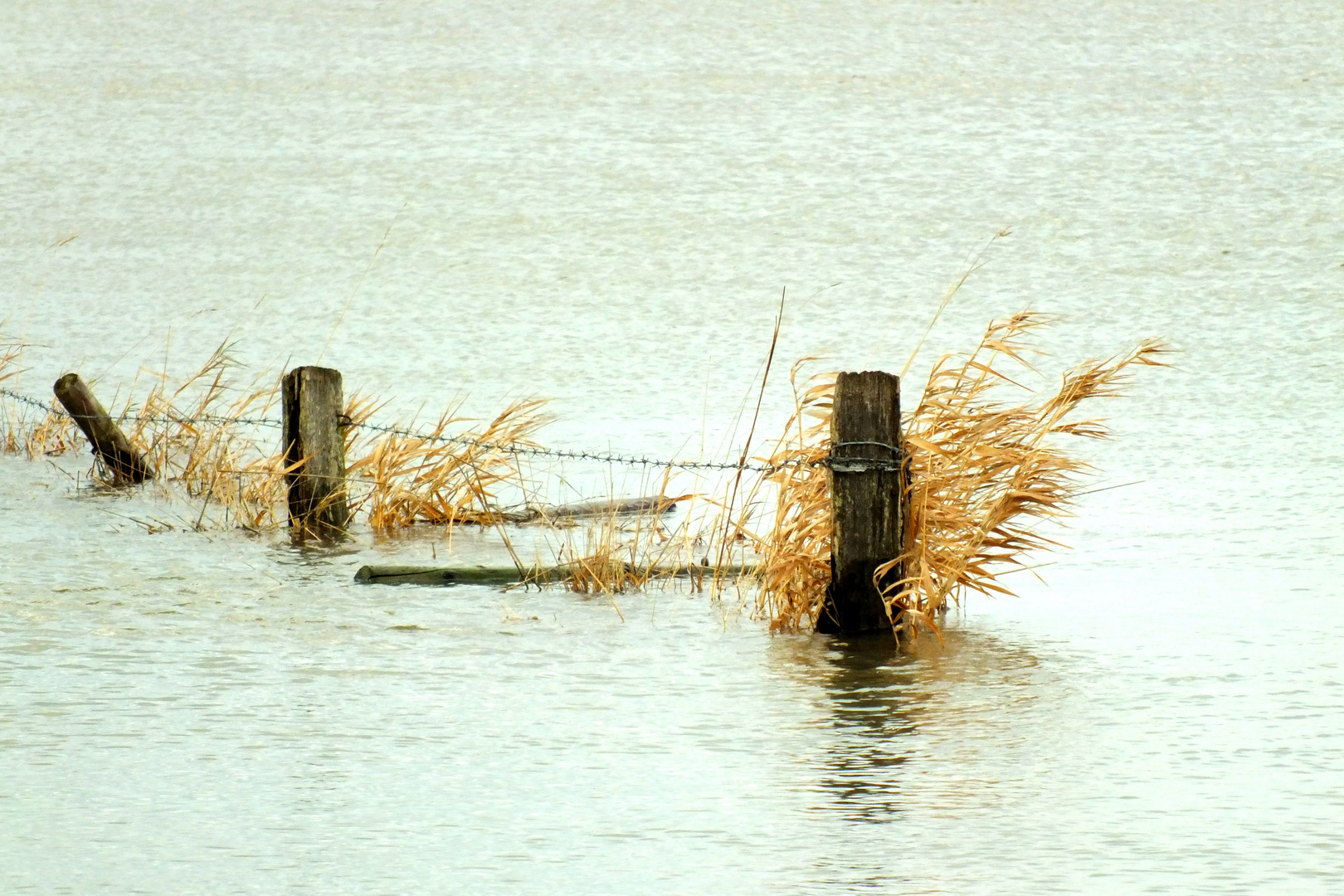 Hochwasser