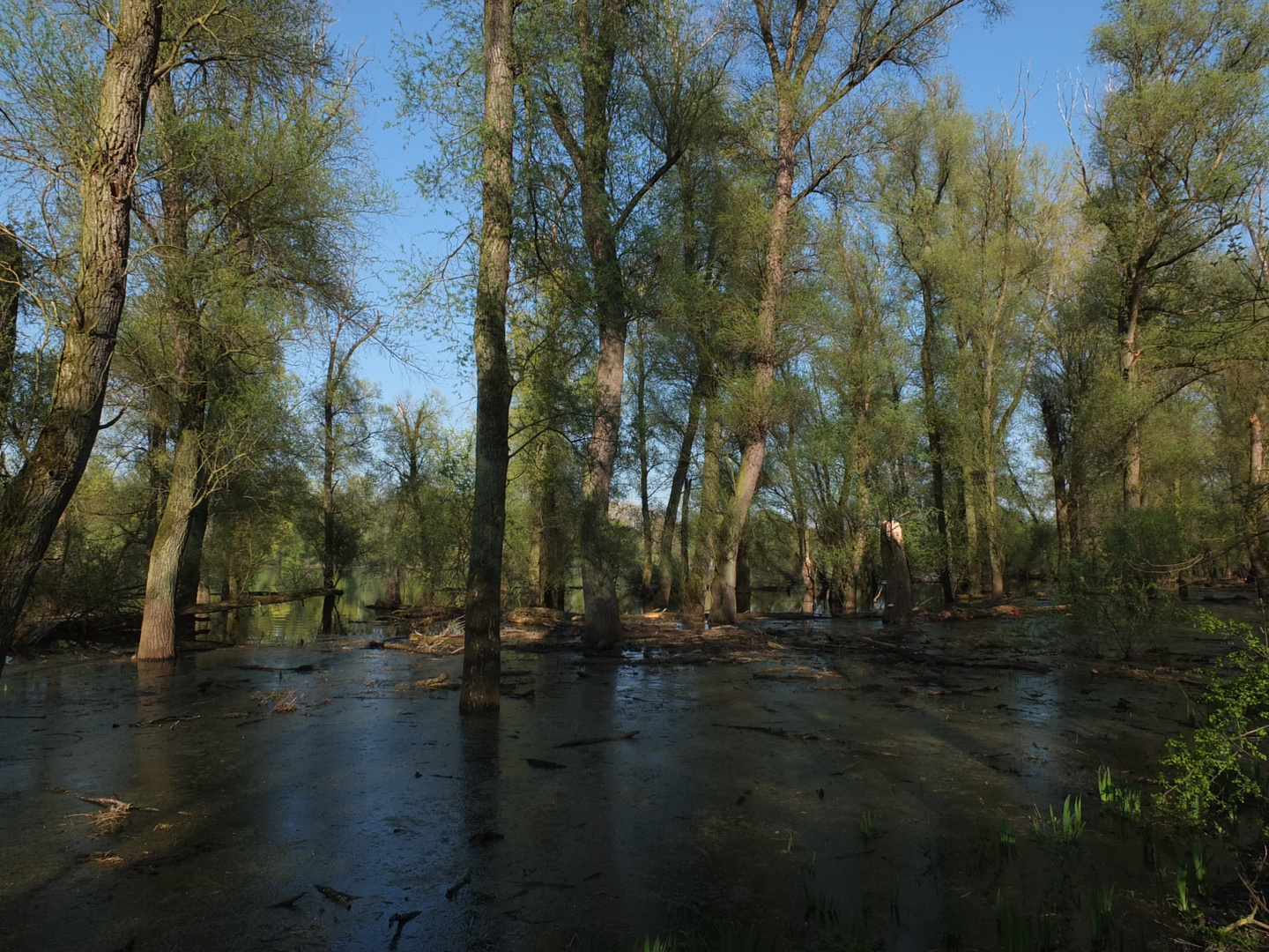 hochwasser