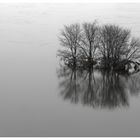 Hochwasser der Elbe