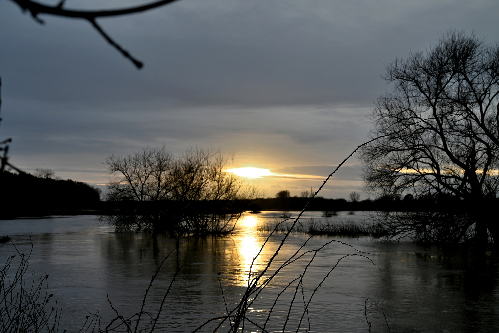 Hochwasser der Leine