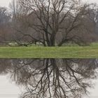 Hochwasser der Leine