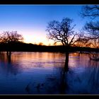 Hochwasser der Mulde 2011