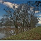 Hochwasser  der Mulde