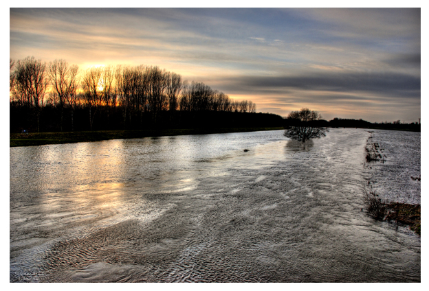 Hochwasser der weißen Elster