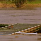 Hochwasser der Weser