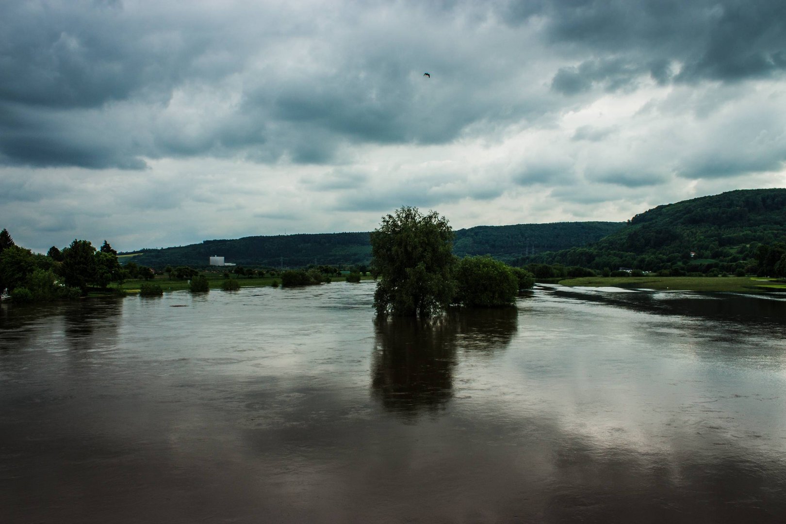 Hochwasser der Weser - Blick nach Süden