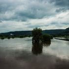 Hochwasser der Weser - Blick nach Süden
