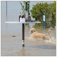 Hochwasser - Detail