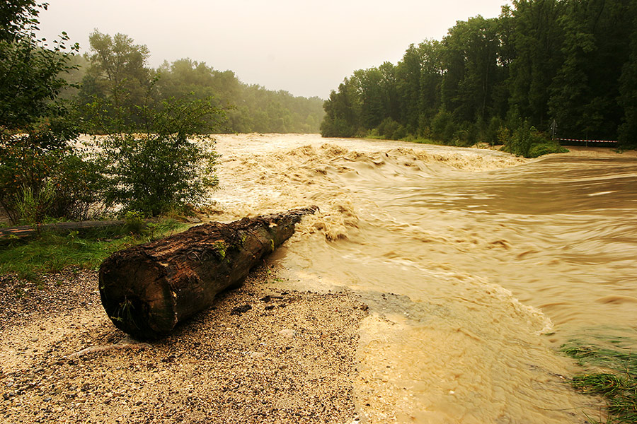 hochwasser, die 4te!