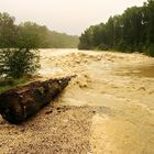 hochwasser, die 4te!