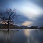 Hochwasser Donau