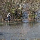 Hochwasser - Donnerstag - Wasser