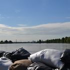 Hochwasser Dresden 2013 Stadtteil Pieschen 1