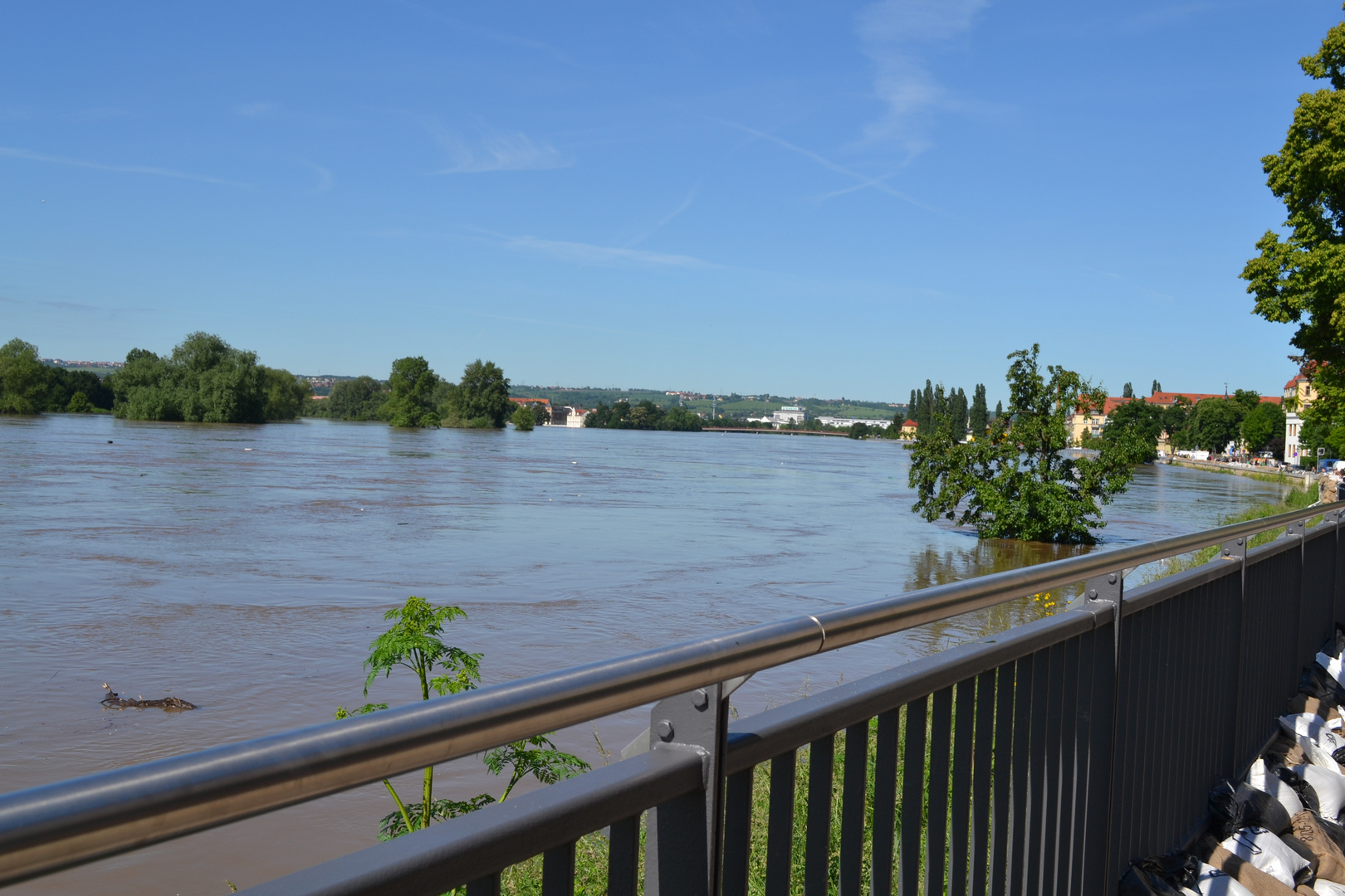 Hochwasser Dresden 2013 Stadtteil Pieschen 3