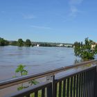 Hochwasser Dresden 2013 Stadtteil Pieschen 3