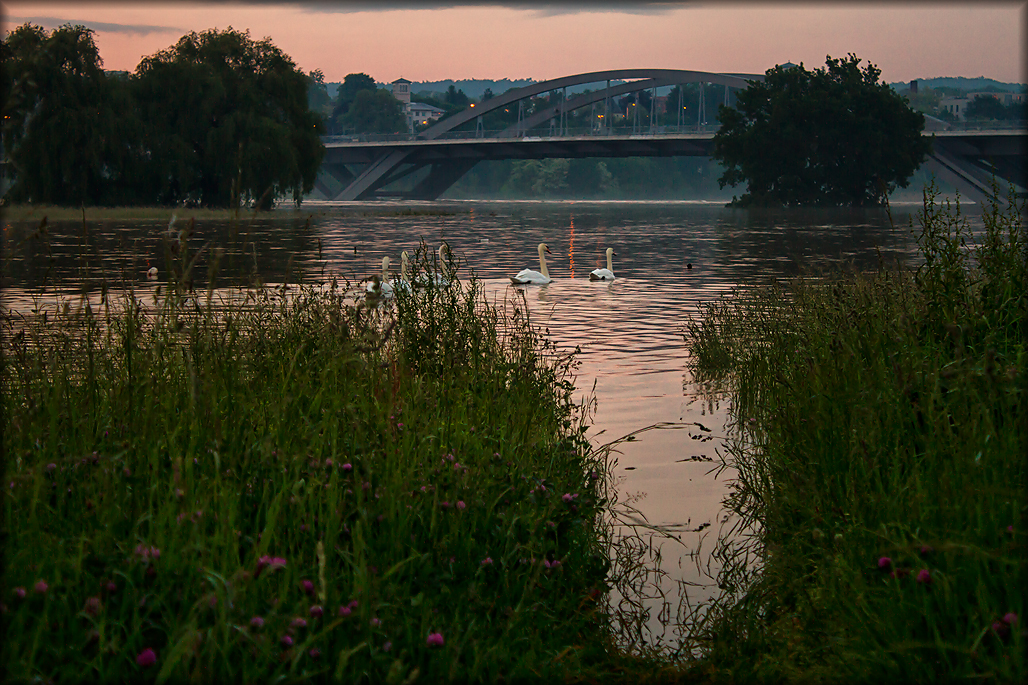 Hochwasser Dresden