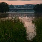 Hochwasser Dresden