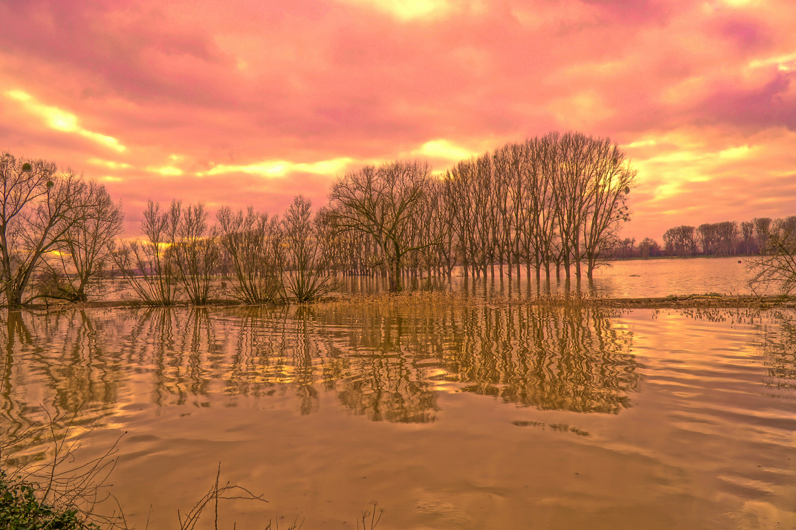 Hochwasser Düsseldorferkämpe