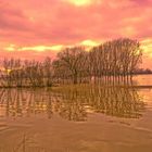 Hochwasser Düsseldorferkämpe