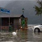 Hochwasser