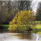 Hochwasser