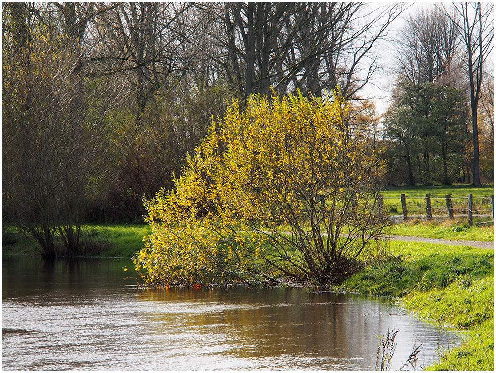 Hochwasser