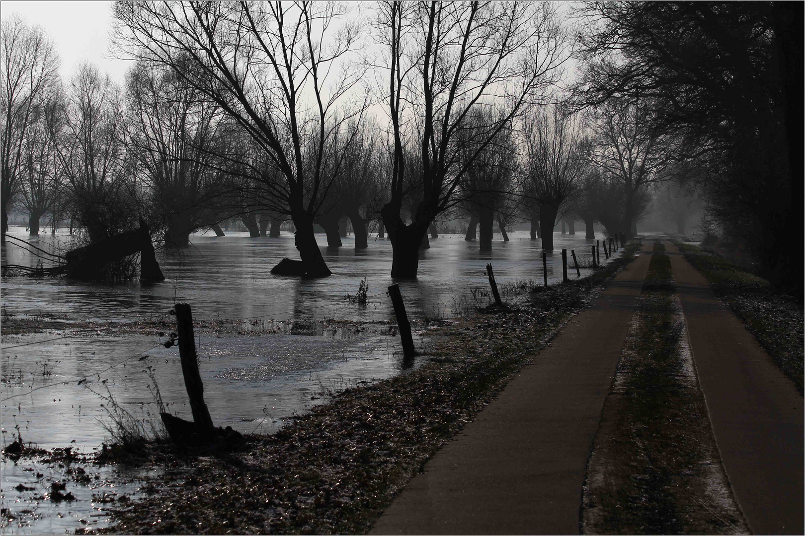 Hochwasser Elbe