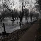 Hochwasser Elbe