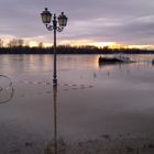 Hochwasser Eltville am Rhein 2011