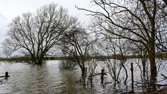 Hochwasser Ems 03