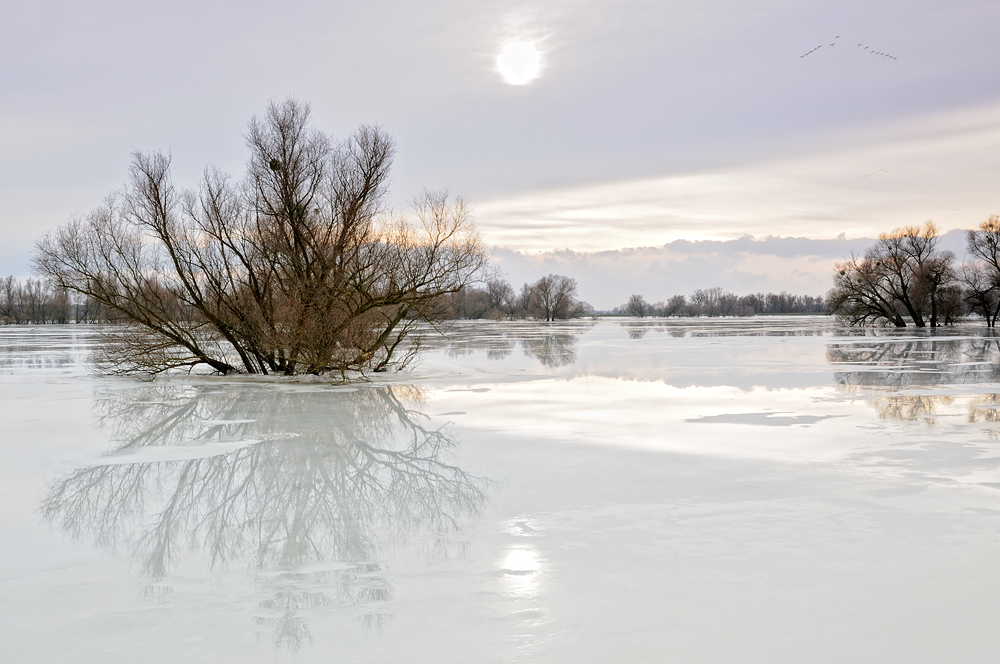 Hochwasser