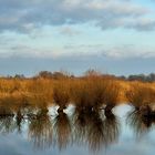 Hochwasser