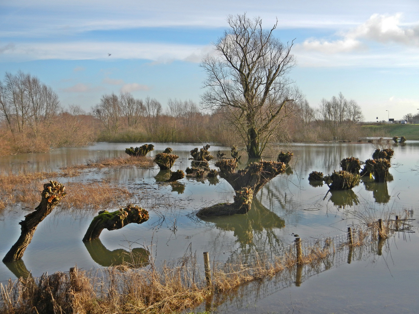 Hochwasser