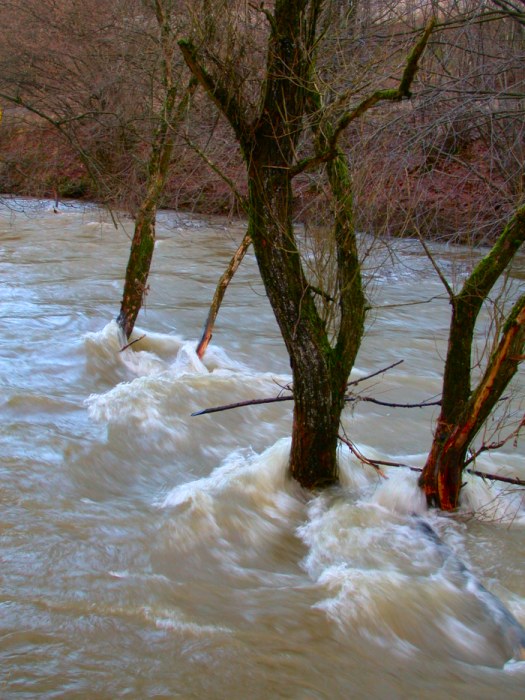 Hochwasser