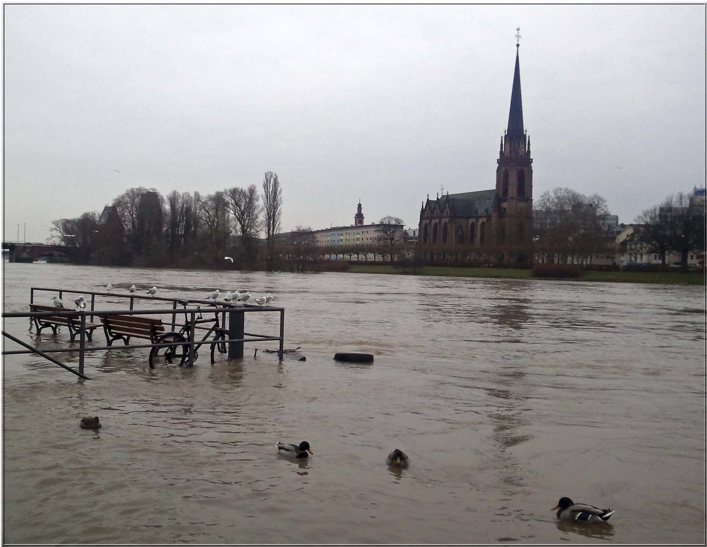 Hochwasser Frankfurt am Main